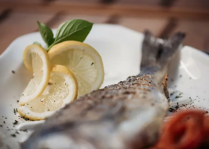 Villa St John Zakynthos (adults Only)